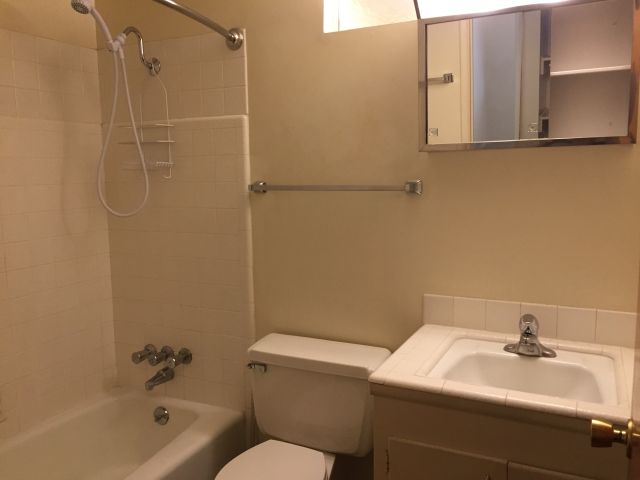 Full bath - shower wand & ventilation fan