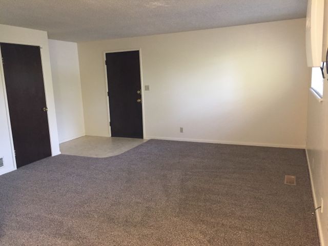 Vinyl floor in entry, coat closet